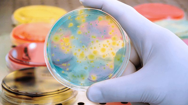 生物试剂使用攻略：如何最大化实验效果**