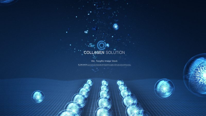 快速引物合成：揭秘高效PCR实验的秘密武器**