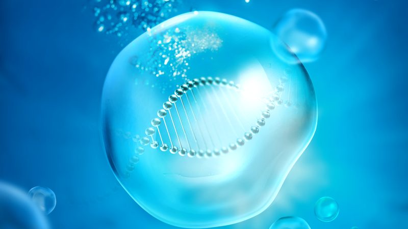 DNA聚合酶型号解析：揭秘基因编辑的“精准利器