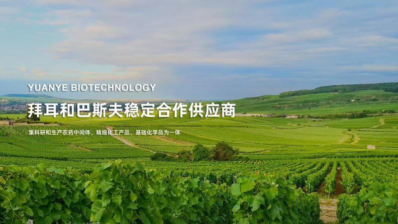 基因测序定制化流程：揭秘精准医疗的幕后步骤