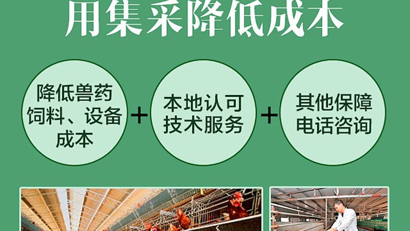 生物检测服务标准分类解析