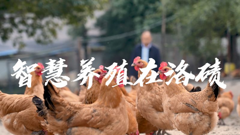 武汉园艺有限公司