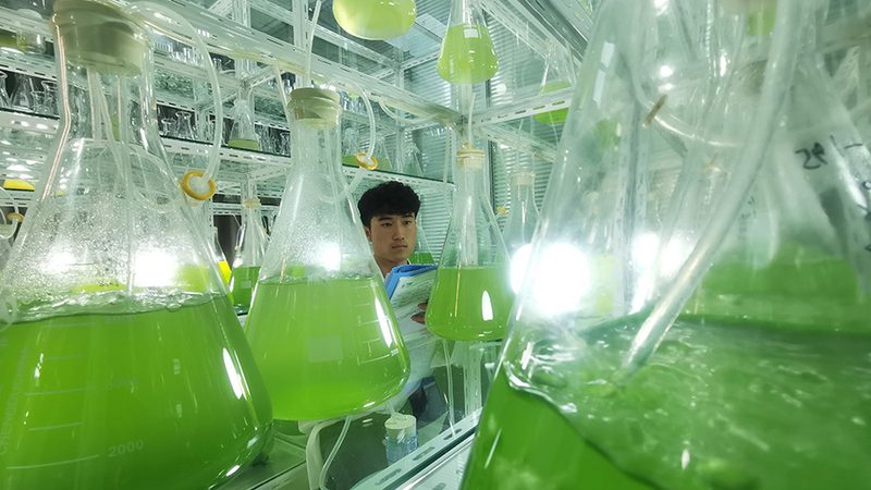 抗体生物制品研发：成本构成与影响因素解析
